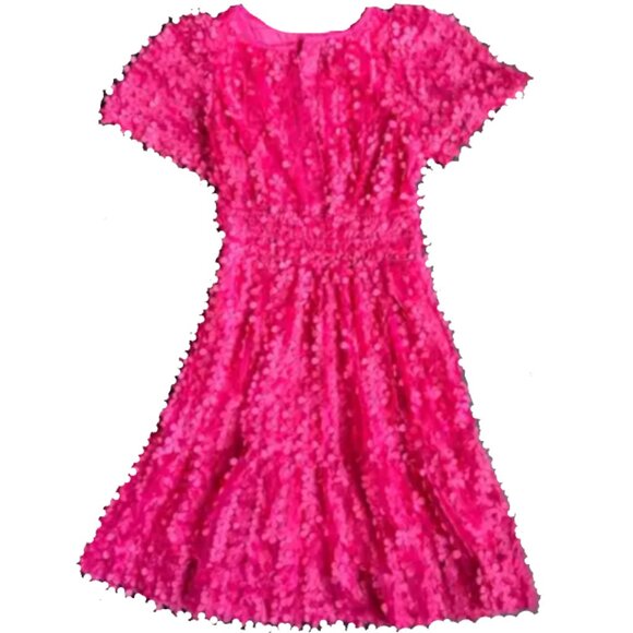 Brand New THE SOMERSET MINI DRESS: FLORAL APPLIQUÉ EDITION by Anthropologie - Picture 14 of 14